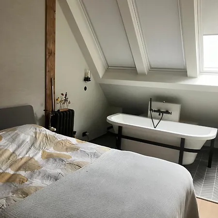 Historical House In Heart Of Haarlem