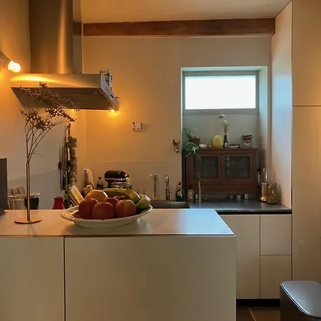 Historical House In Heart Of Haarlem